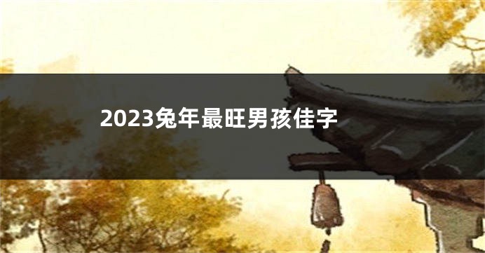 2023兔年最旺男孩佳字