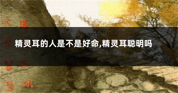 精灵耳的人是不是好命,精灵耳聪明吗