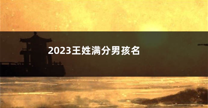 2023王姓满分男孩名