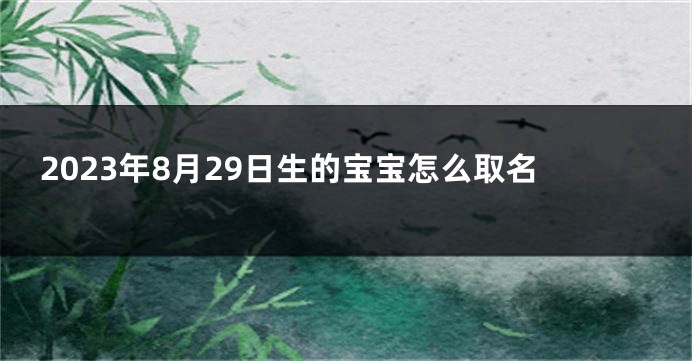 2023年8月29日生的宝宝怎么取名