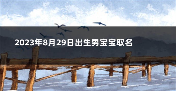 2023年8月29日出生男宝宝取名