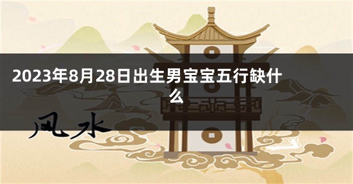 2023年8月28日出生男宝宝五行缺什么