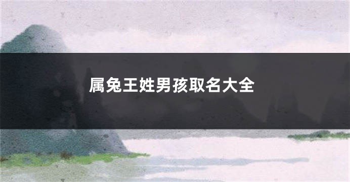 属兔王姓男孩取名大全