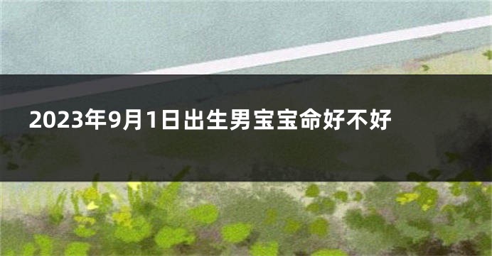 2023年9月1日出生男宝宝命好不好