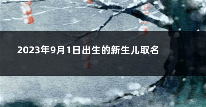 2023年9月1日出生的新生儿取名