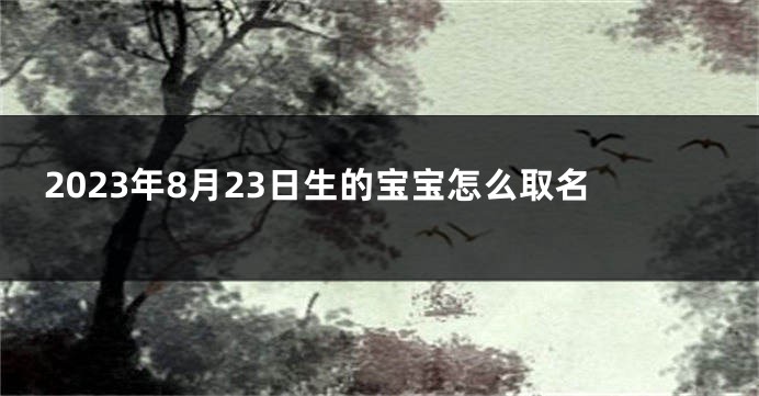 2023年8月23日生的宝宝怎么取名