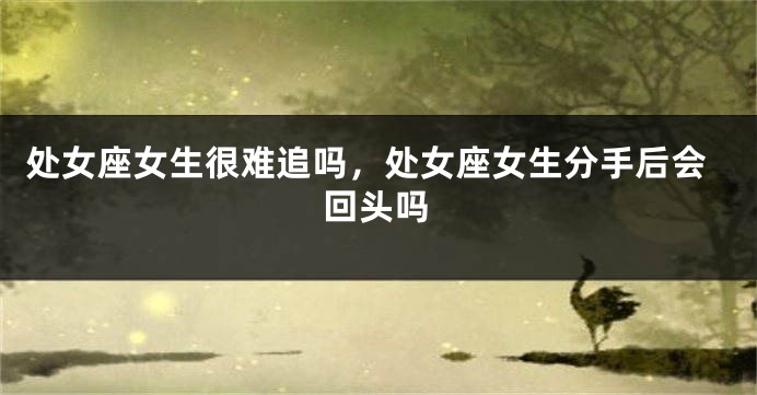 处女座女生很难追吗，处女座女生分手后会回头吗