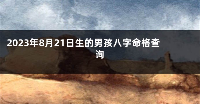 2023年8月21日生的男孩八字命格查询