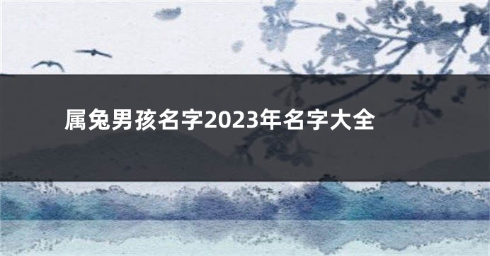 属兔男孩名字2023年名字大全