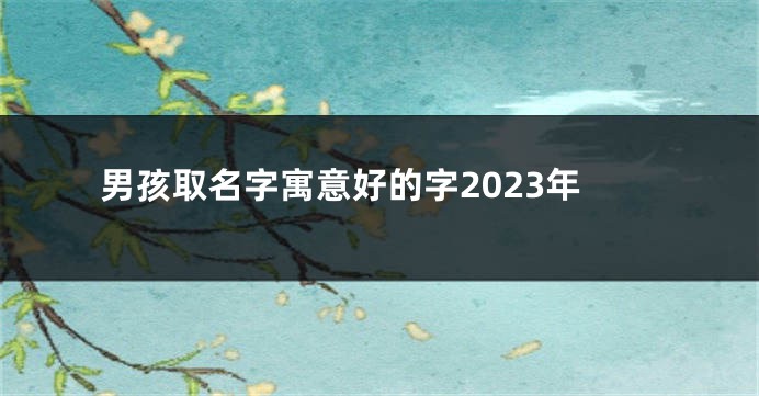 男孩取名字寓意好的字2023年