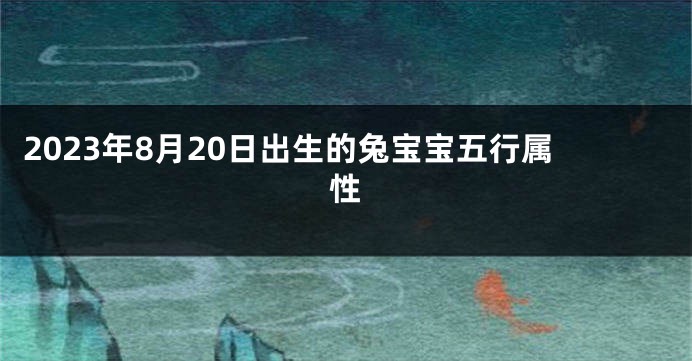 2023年8月20日出生的兔宝宝五行属性