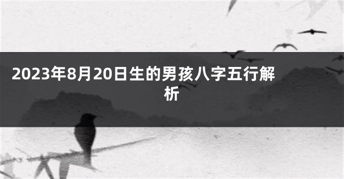 2023年8月20日生的男孩八字五行解析