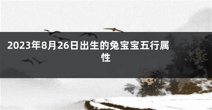 2023年8月26日出生的兔宝宝五行属性