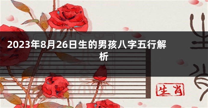 2023年8月26日生的男孩八字五行解析