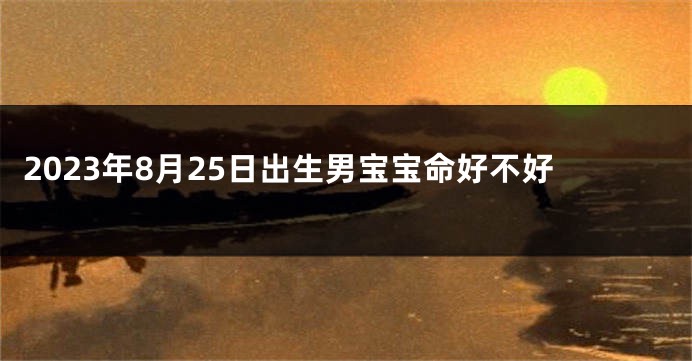 2023年8月25日出生男宝宝命好不好