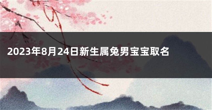 2023年8月24日新生属兔男宝宝取名