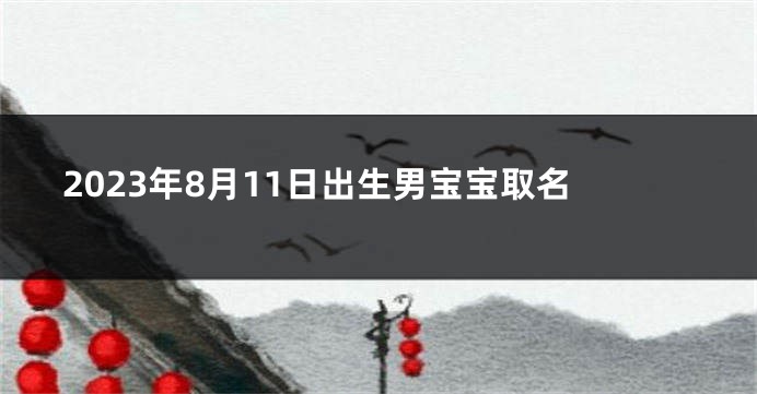 2023年8月11日出生男宝宝取名