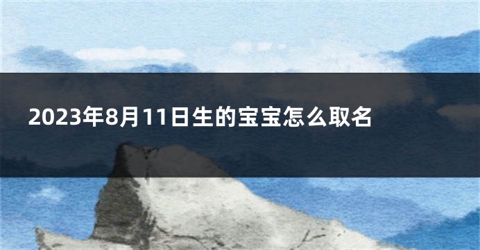 2023年8月11日生的宝宝怎么取名