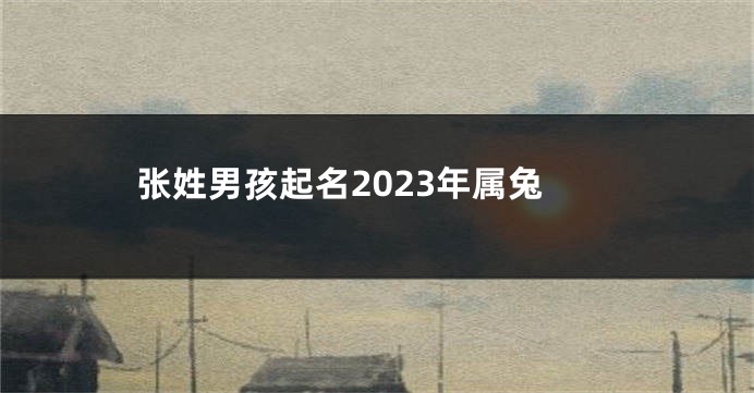 张姓男孩起名2023年属兔