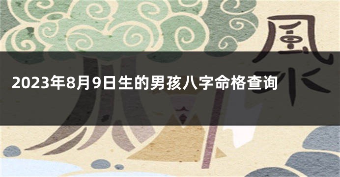 2023年8月9日生的男孩八字命格查询