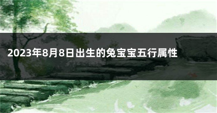 2023年8月8日出生的兔宝宝五行属性