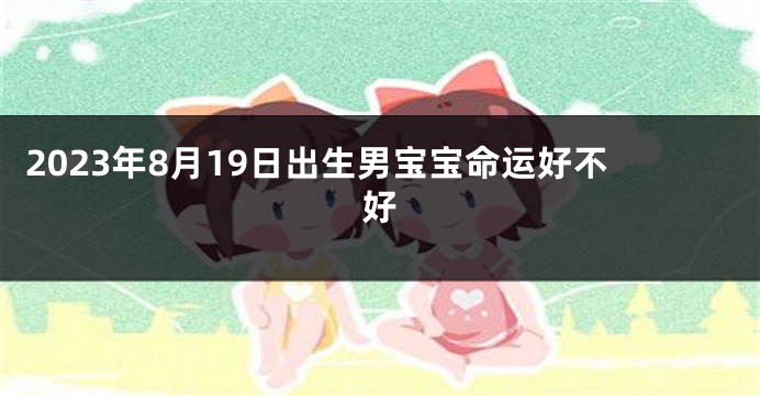 2023年8月19日出生男宝宝命运好不好