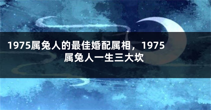 1975属兔人的最佳婚配属相，1975属兔人一生三大坎