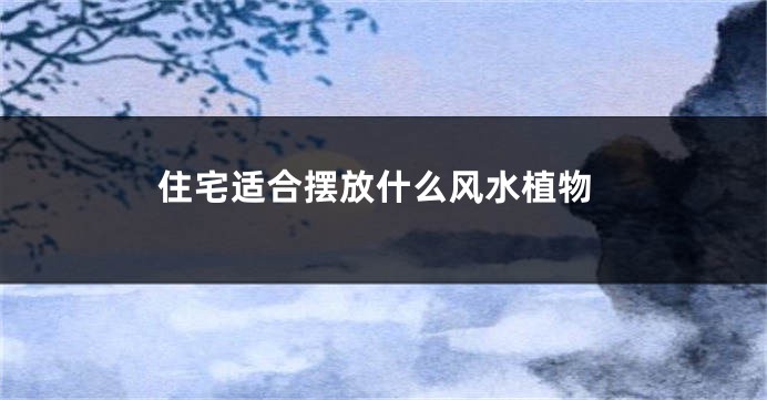 住宅适合摆放什么风水植物