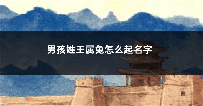 男孩姓王属兔怎么起名字