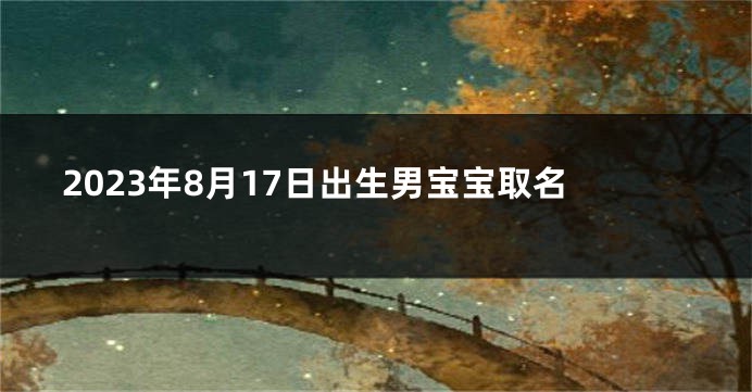 2023年8月17日出生男宝宝取名