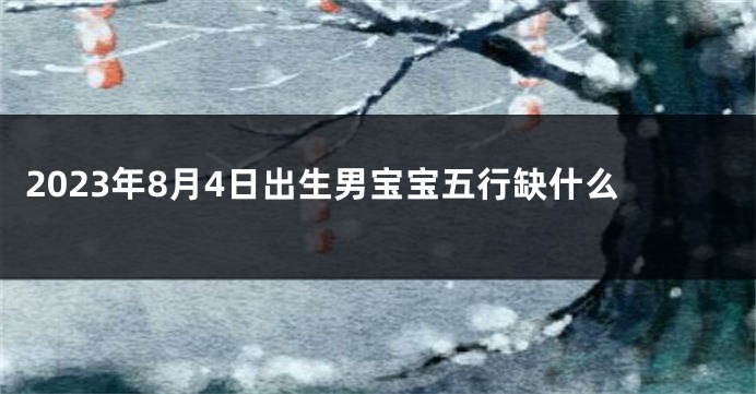 2023年8月4日出生男宝宝五行缺什么