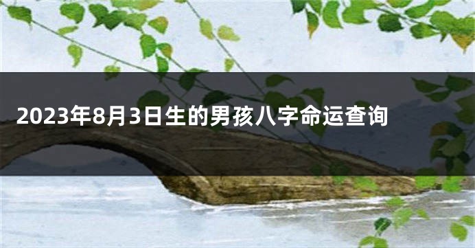 2023年8月3日生的男孩八字命运查询