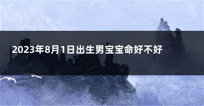 2023年8月1日出生男宝宝命好不好