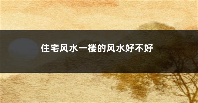 住宅风水一楼的风水好不好