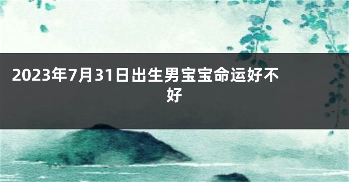 2023年7月31日出生男宝宝命运好不好