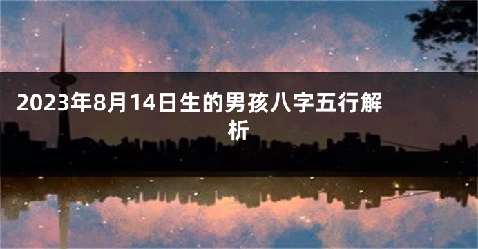 2023年8月14日生的男孩八字五行解析