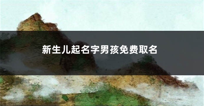 新生儿起名字男孩免费取名