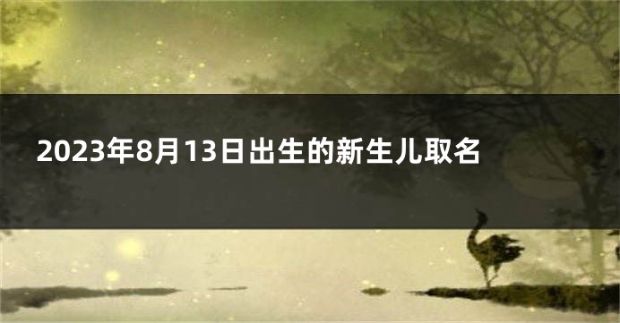 2023年8月13日出生的新生儿取名