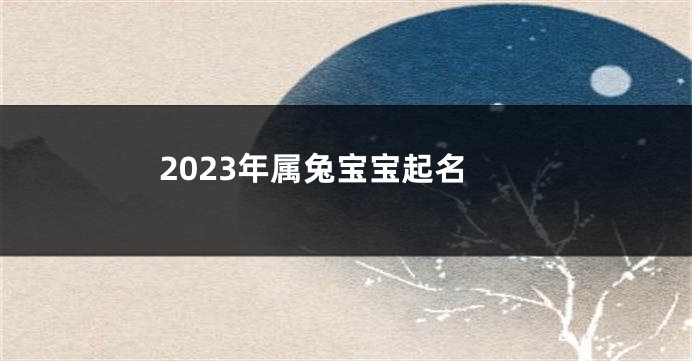 2023年属兔宝宝起名