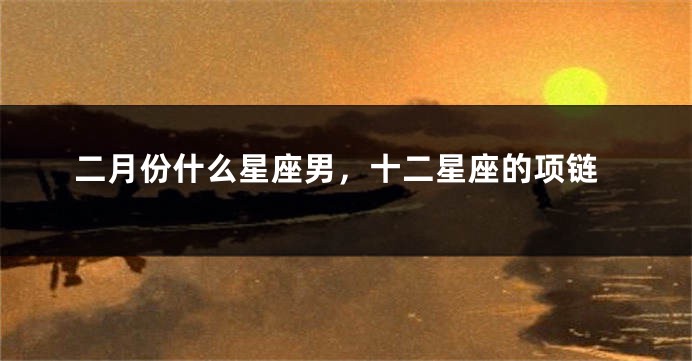 二月份什么星座男，十二星座的项链