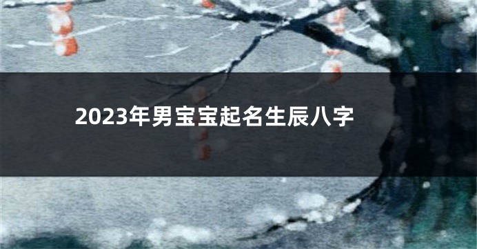 2023年男宝宝起名生辰八字