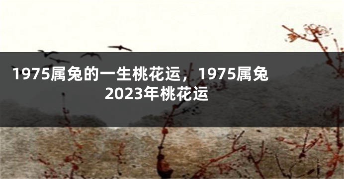 1975属兔的一生桃花运，1975属兔2023年桃花运