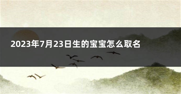 2023年7月23日生的宝宝怎么取名