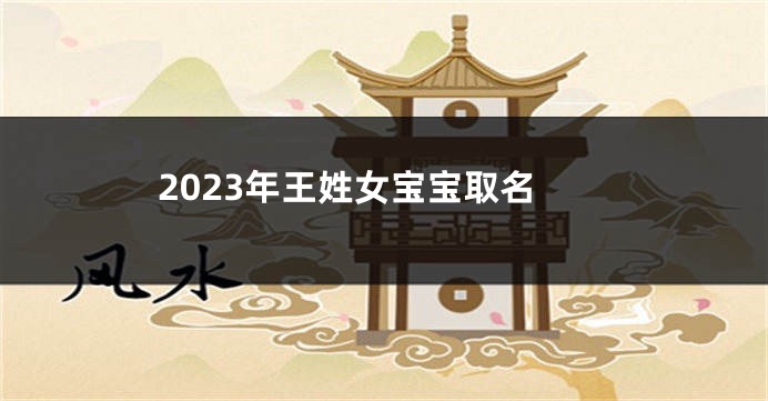 2023年王姓女宝宝取名
