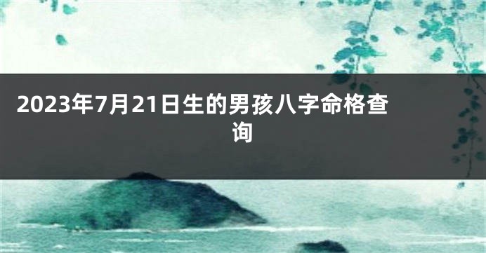 2023年7月21日生的男孩八字命格查询