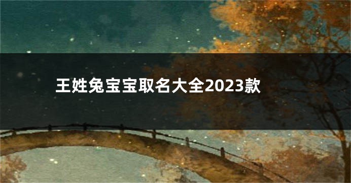 王姓兔宝宝取名大全2023款