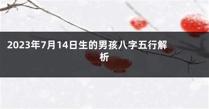 2023年7月14日生的男孩八字五行解析