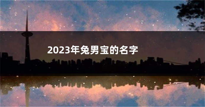 2023年兔男宝的名字