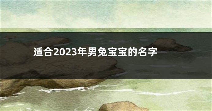 适合2023年男兔宝宝的名字