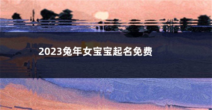 2023兔年女宝宝起名免费